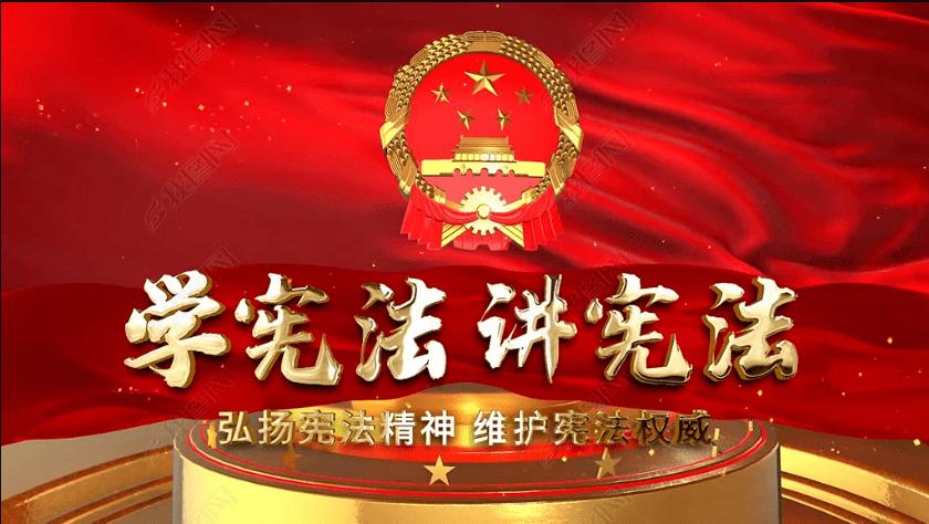 救援白色小猫